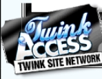 File:Twink access logo.png