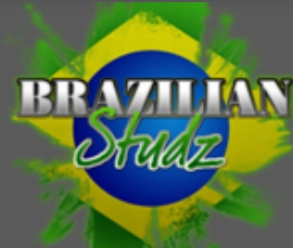 File:Brazilianstudzlogo.png