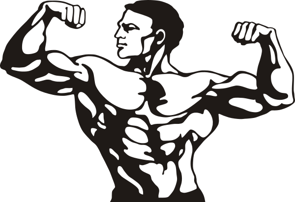 File:Bodybuilding logo.png