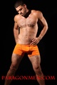 Ricky Larkin Paragon Men Nude 2013 2.jpg