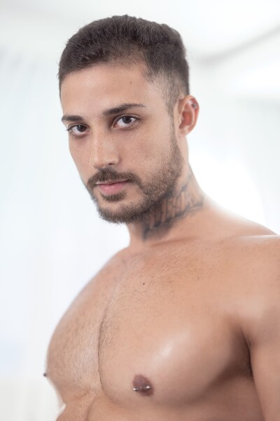 File:Markin Wolf.jpg