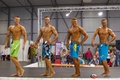 Petr Hrdina Natursport Beauty and Fitness Cup 2015 16.jpg