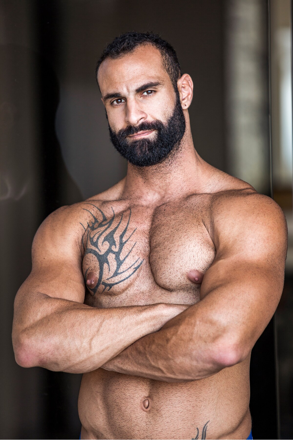 Hairy Gay Porn Actors - Paco Gallitelli - Porn Base Central, the free encyclopedia of gay porn