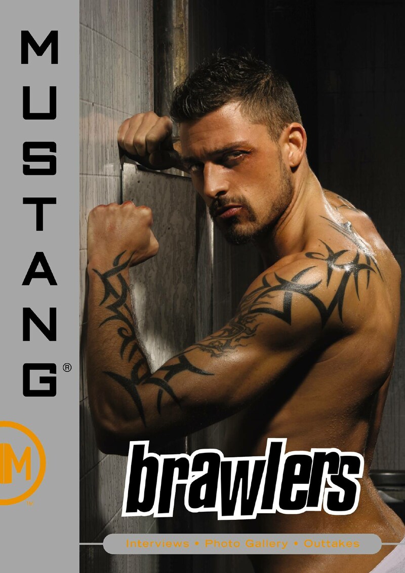 Brawlers (Mustang Studios) - Porn Base Central, the free encyclopedia of  gay porn