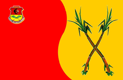 Flag of Ejido.PNG
