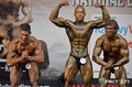 Tomas Kukal INBA-PNBA World Championships Natural Bodybuilding 2012 22.jpg