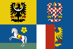 Flag of Moravian-Silesian Region.png