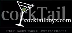Cocktailboyzlogo.png