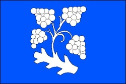 Flag of Mutenice (Hodonin District).jpg