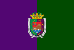 Flag of Malaga.png