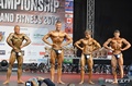 Tomas Kukal INBA-PNBA World Championships Natural Bodybuilding 2012 17.jpg