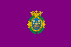 Flag of Cadiz.svg