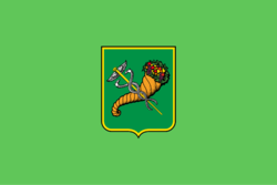 Flag of Kharkiv.png
